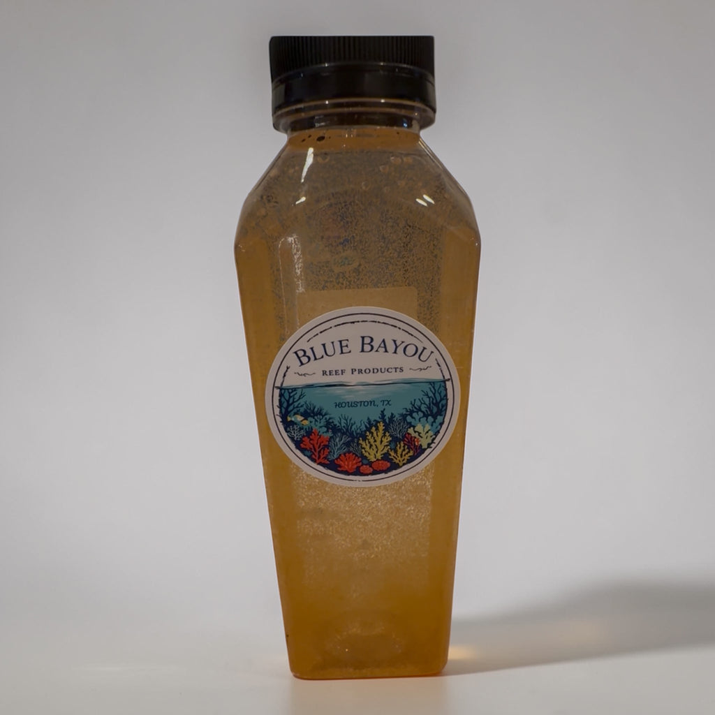 Live Brine Shrimp-Nauplius +Juvenile -Ready to Feed