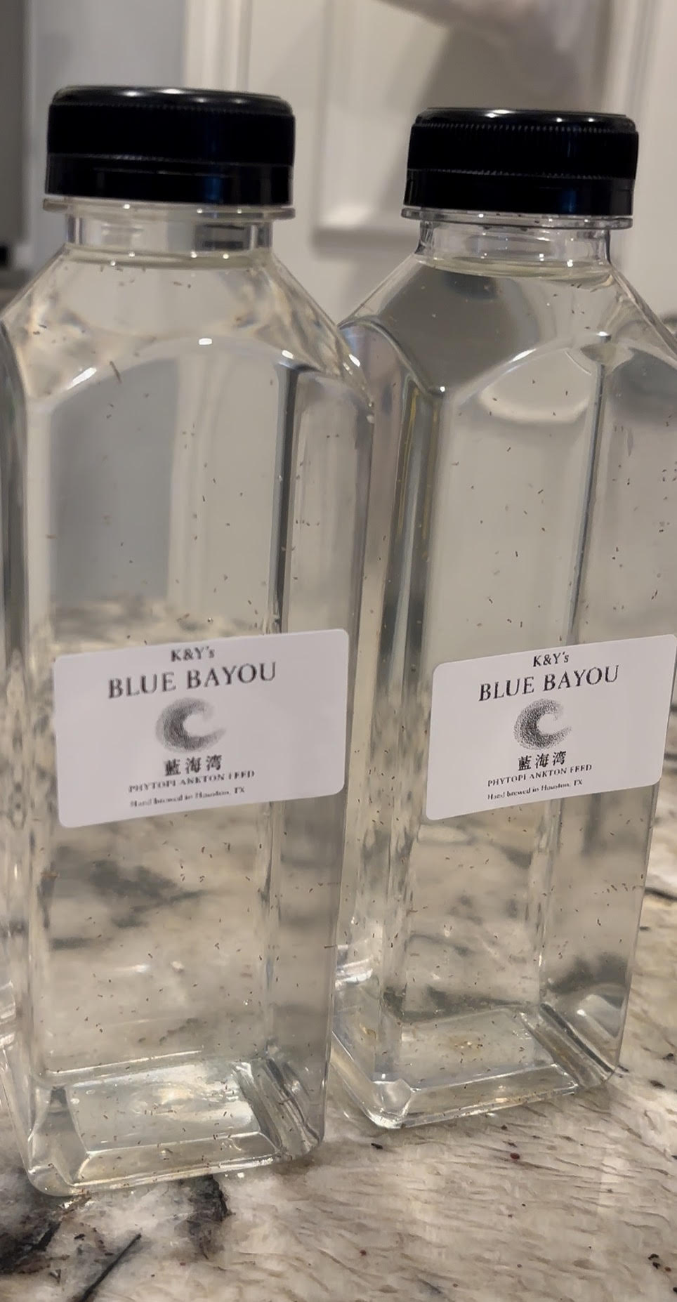 Tigriopus Californicus